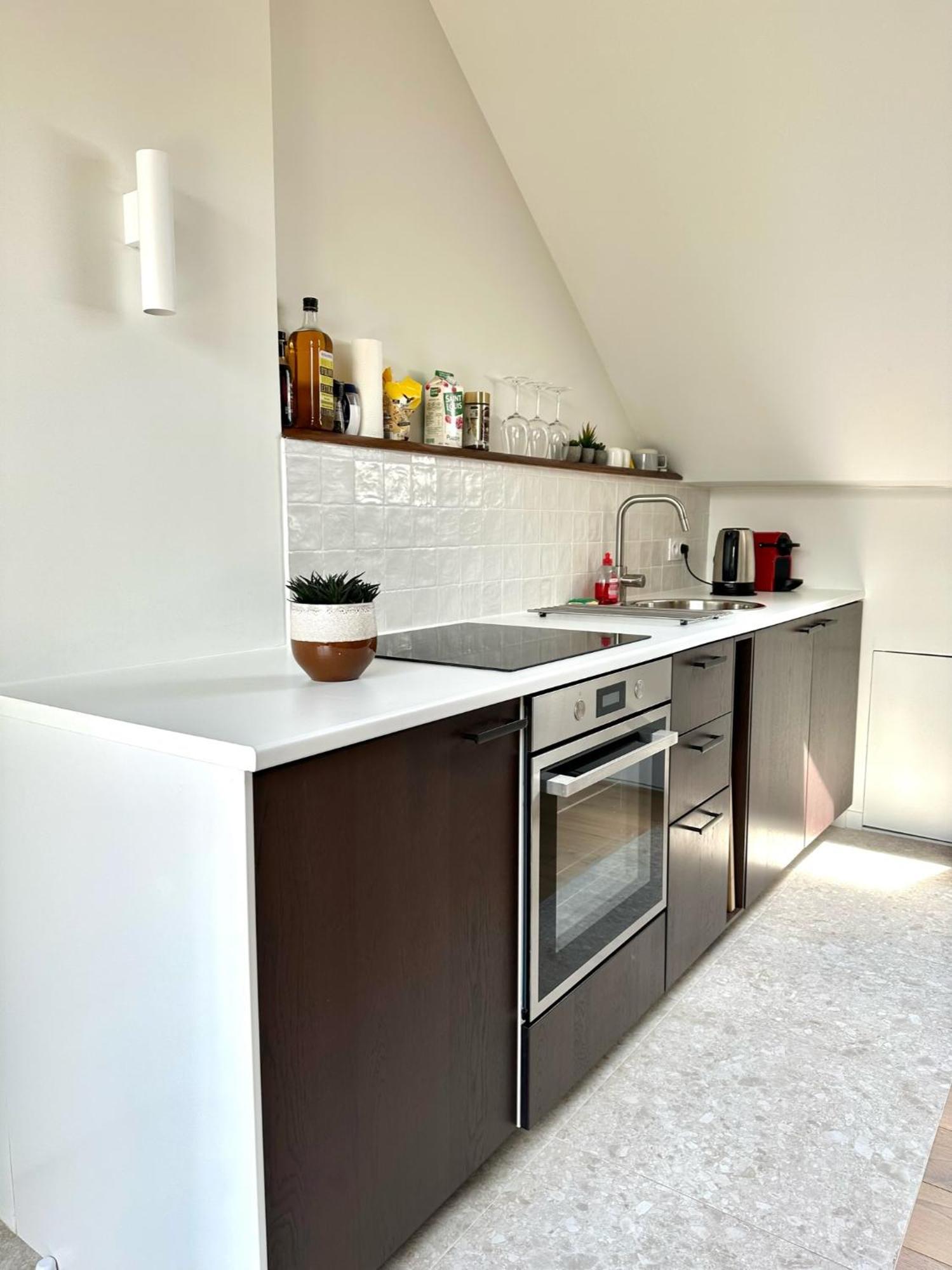 Appartement Ecrin De Calme Avec Terrasse à Chambéry Extérieur photo